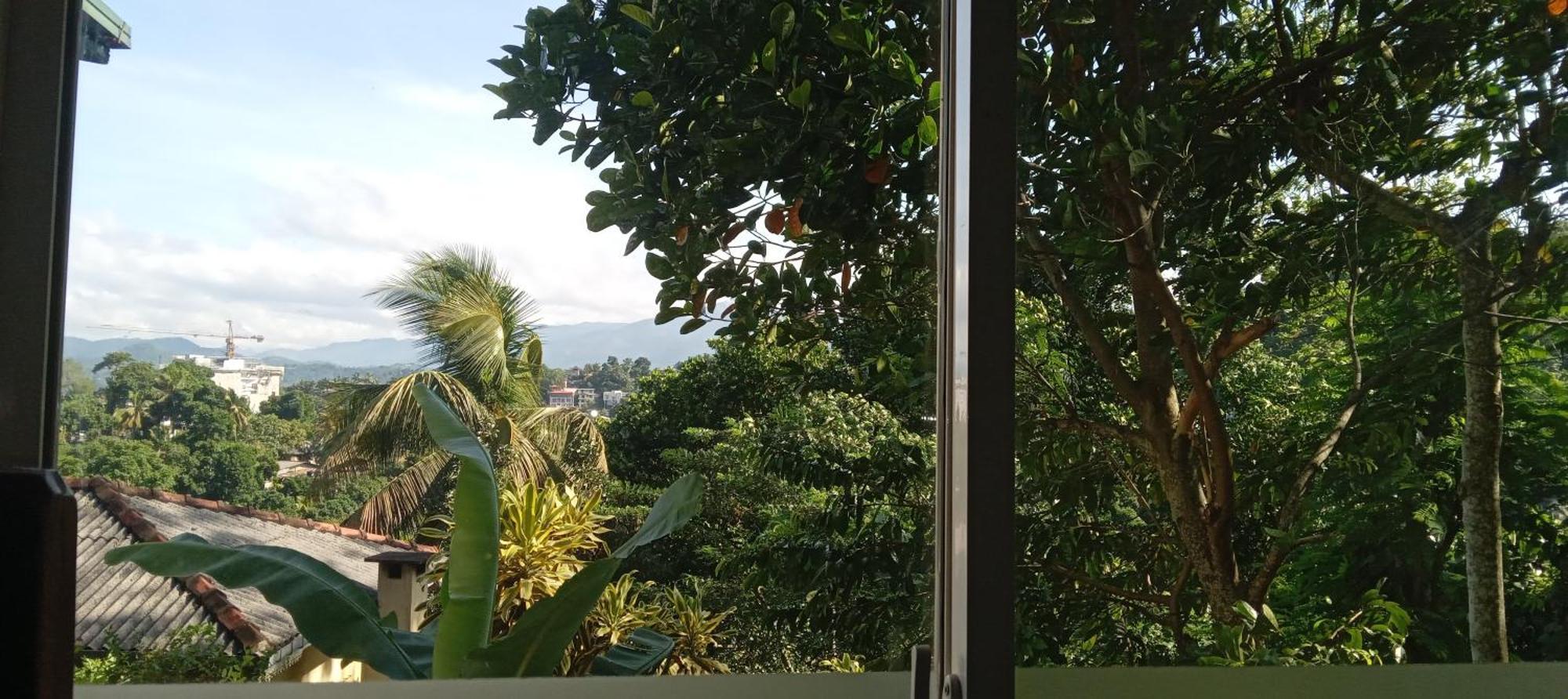 The Tenthola Kandy Rum bild